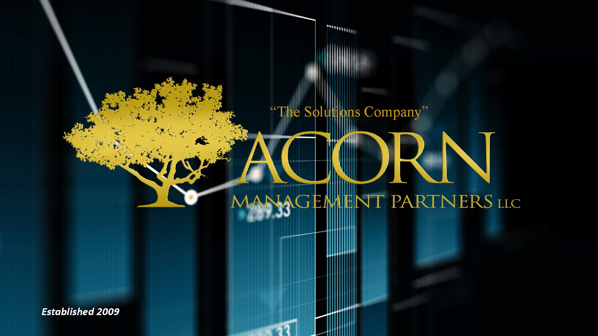 Acorns Solutions Deck_Page_01
